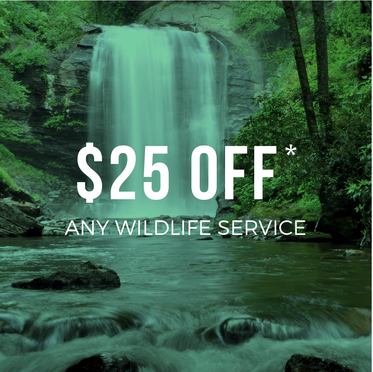 $25 Off Any Wildlife Service
