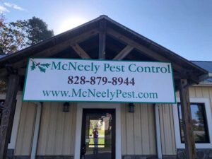 Pest control services in Morganton