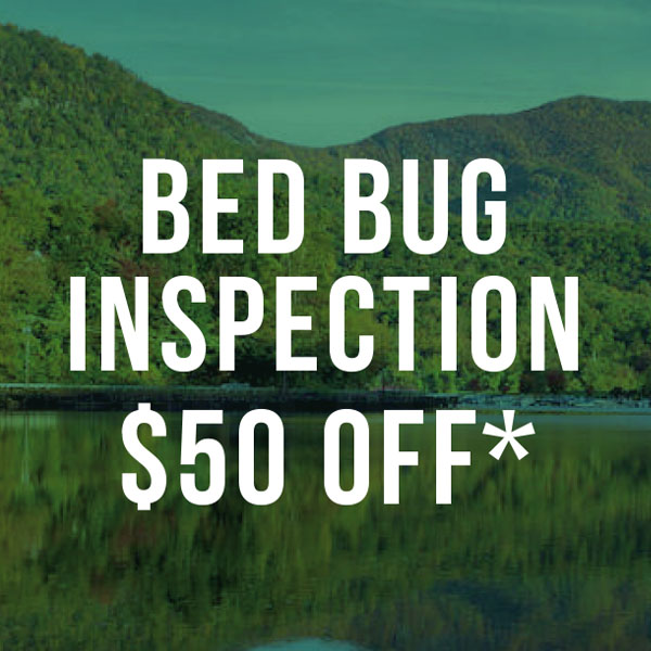 $50 Off Canine Bed Bug Inspection Services