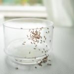 Ants crawling up a cup in Greensboro NC - McNeely Pest Control