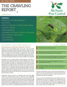 Spring Newsletter 2020