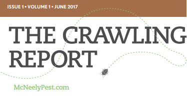 The Crawling Report - Our June Newsletter. Get the latest information on promotions and more!